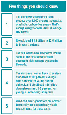 Five things to know about breaching dams