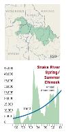 Snake River fall chinook abundance graph