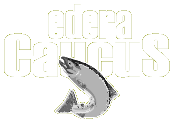 Federal Caucus