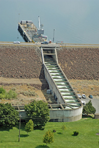 McNary Dam - a fish ladder III 200