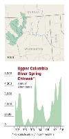 Upper Columbia spring chinook abundance graph